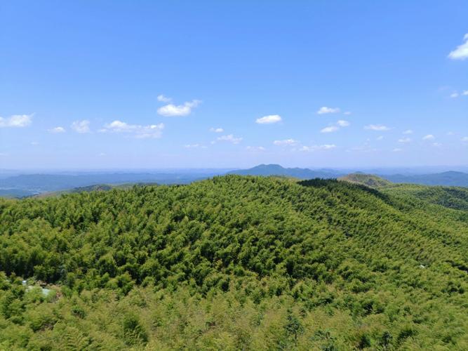 蔡伦竹海风景区-蔡伦竹海风景区介绍