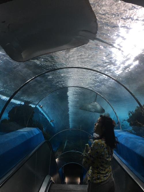 广州水族馆海洋馆门票-广州水族馆海洋馆门票多少钱