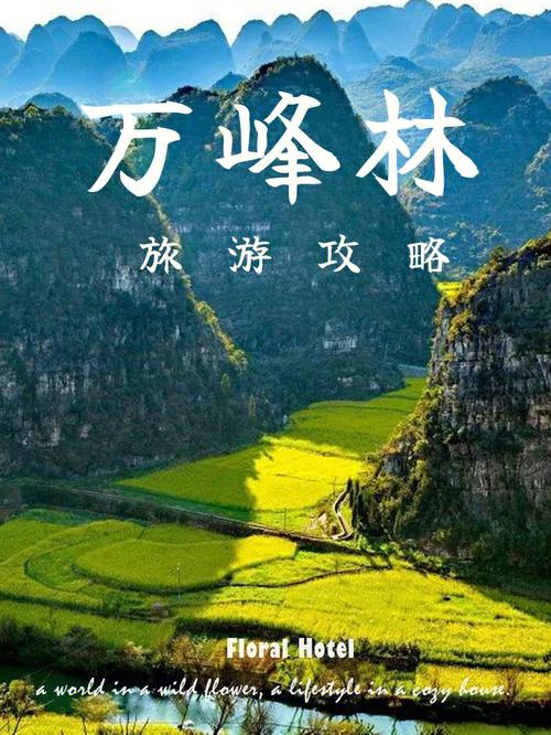 万峰林旅游攻略-万峰林旅游攻略自驾游