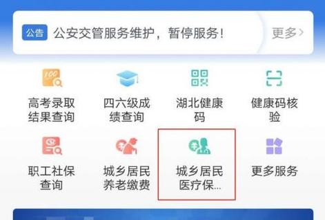 鄂汇办_鄂汇办怎么交农村合作医疗